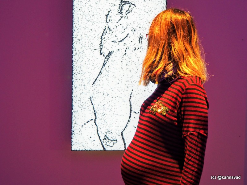 Fly painting on screen