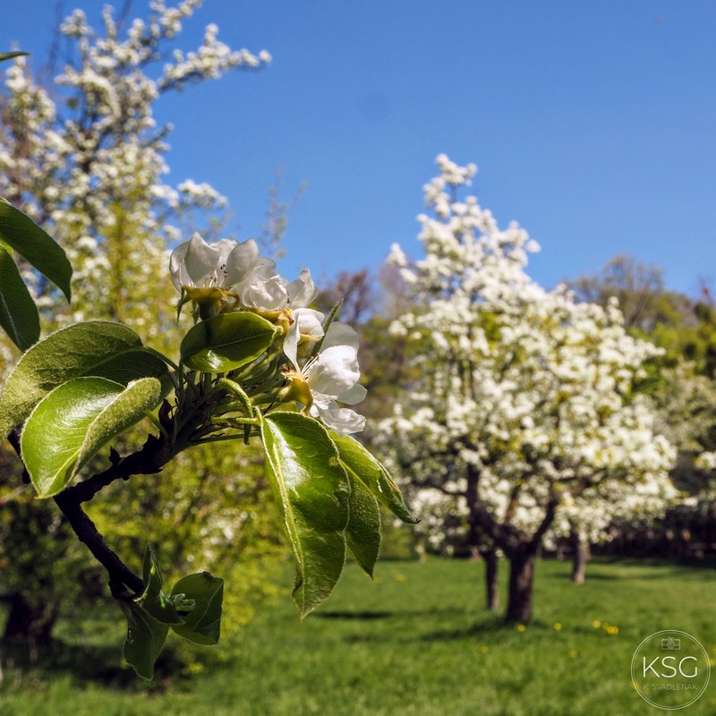 Nature is good for you –  and Vienna has plenty of&nbsp;it