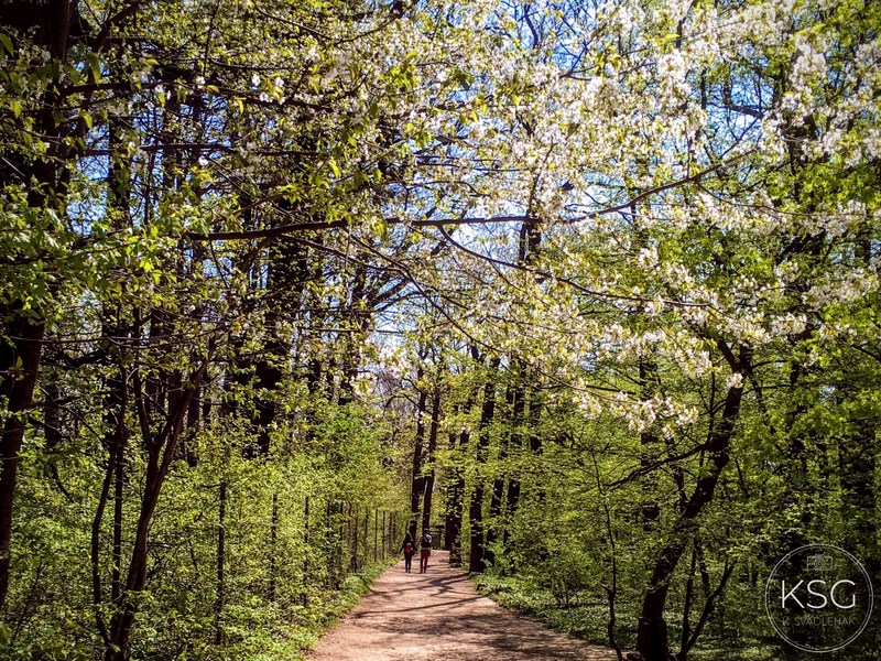 Stadtwanderweg4_Foto_KSvadlenak