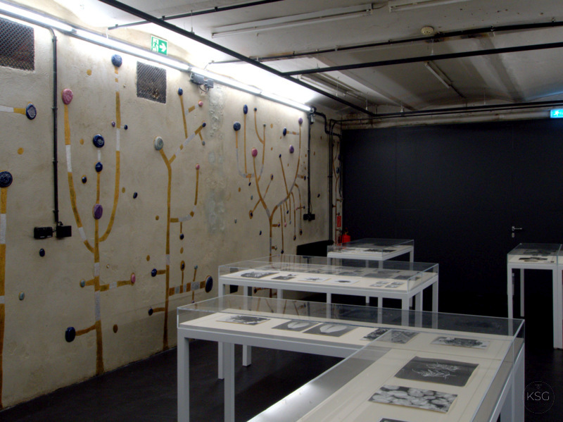 Lempert Exhibition