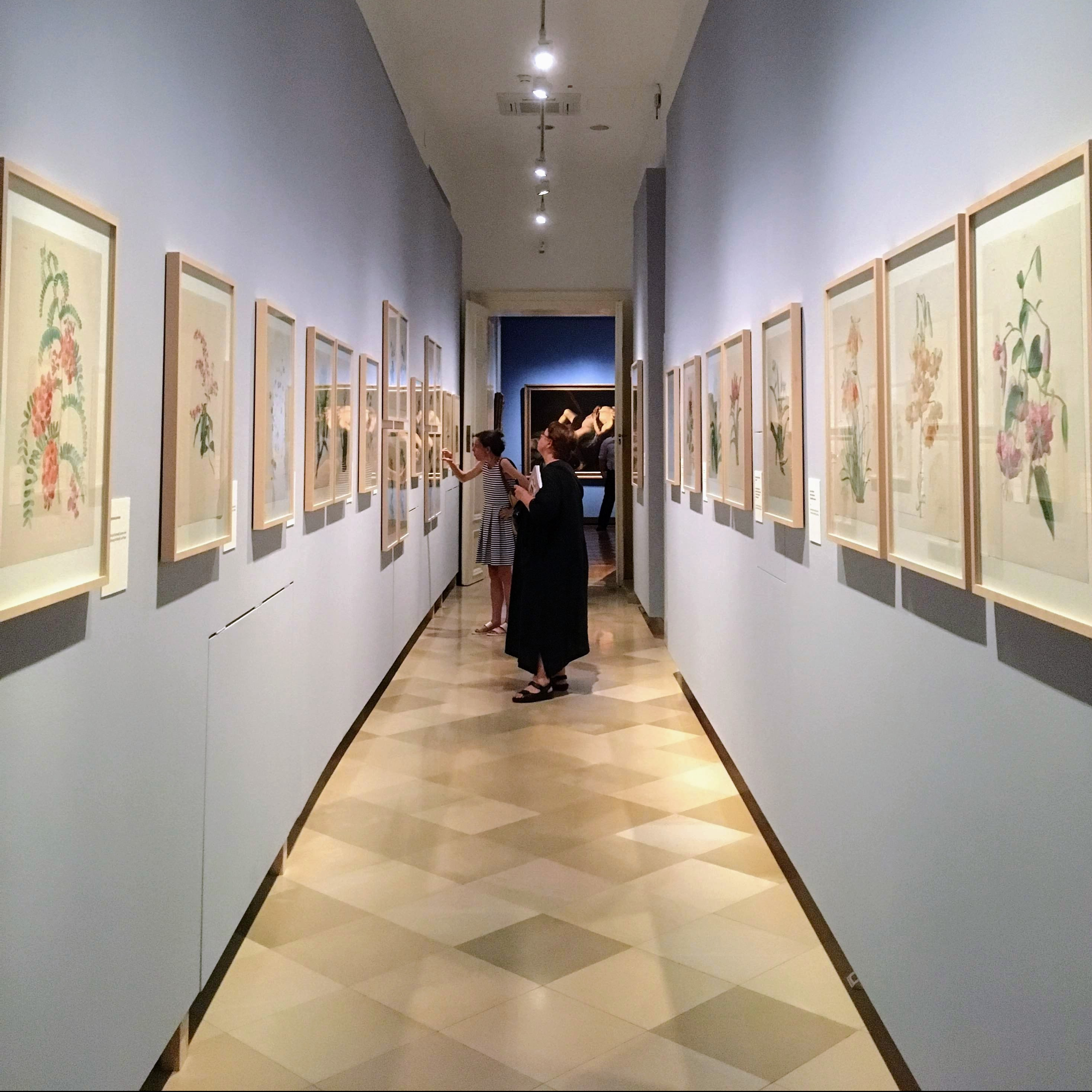 Paradisus Vindobonensis at Akademiegalerie