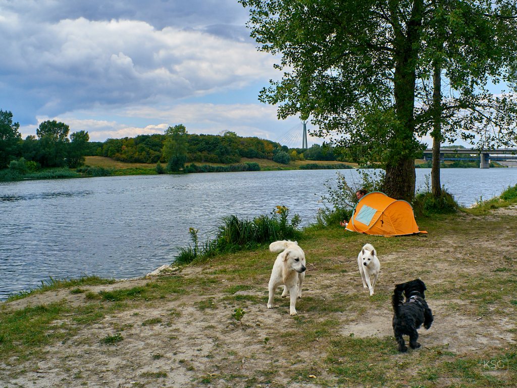 Dog days of summer – where to cool off&nbsp;together