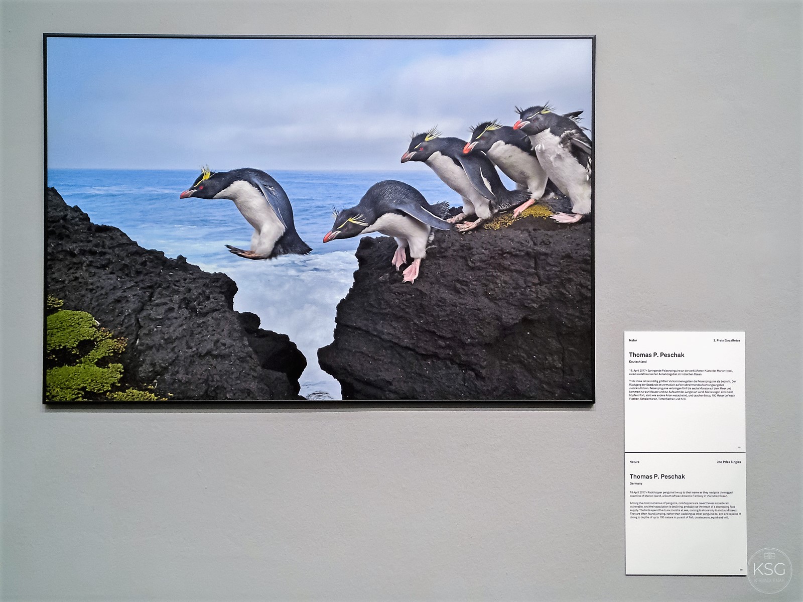 IMG_20181002_180754_K.Svadlenak_LR