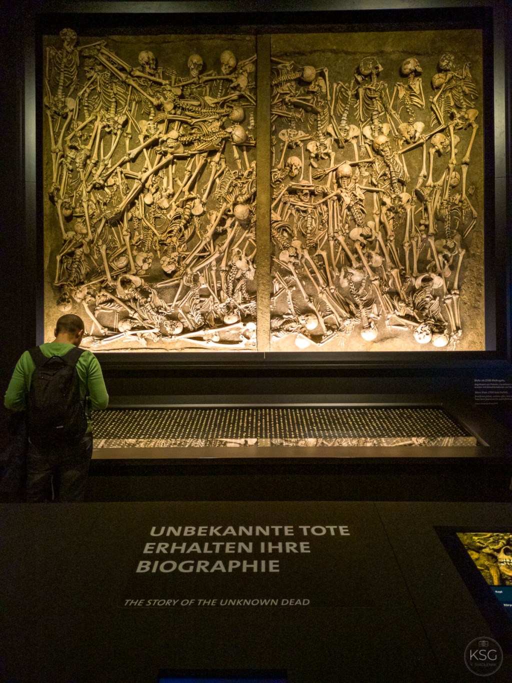 A natural history of war – tracing an&nbsp;evolution