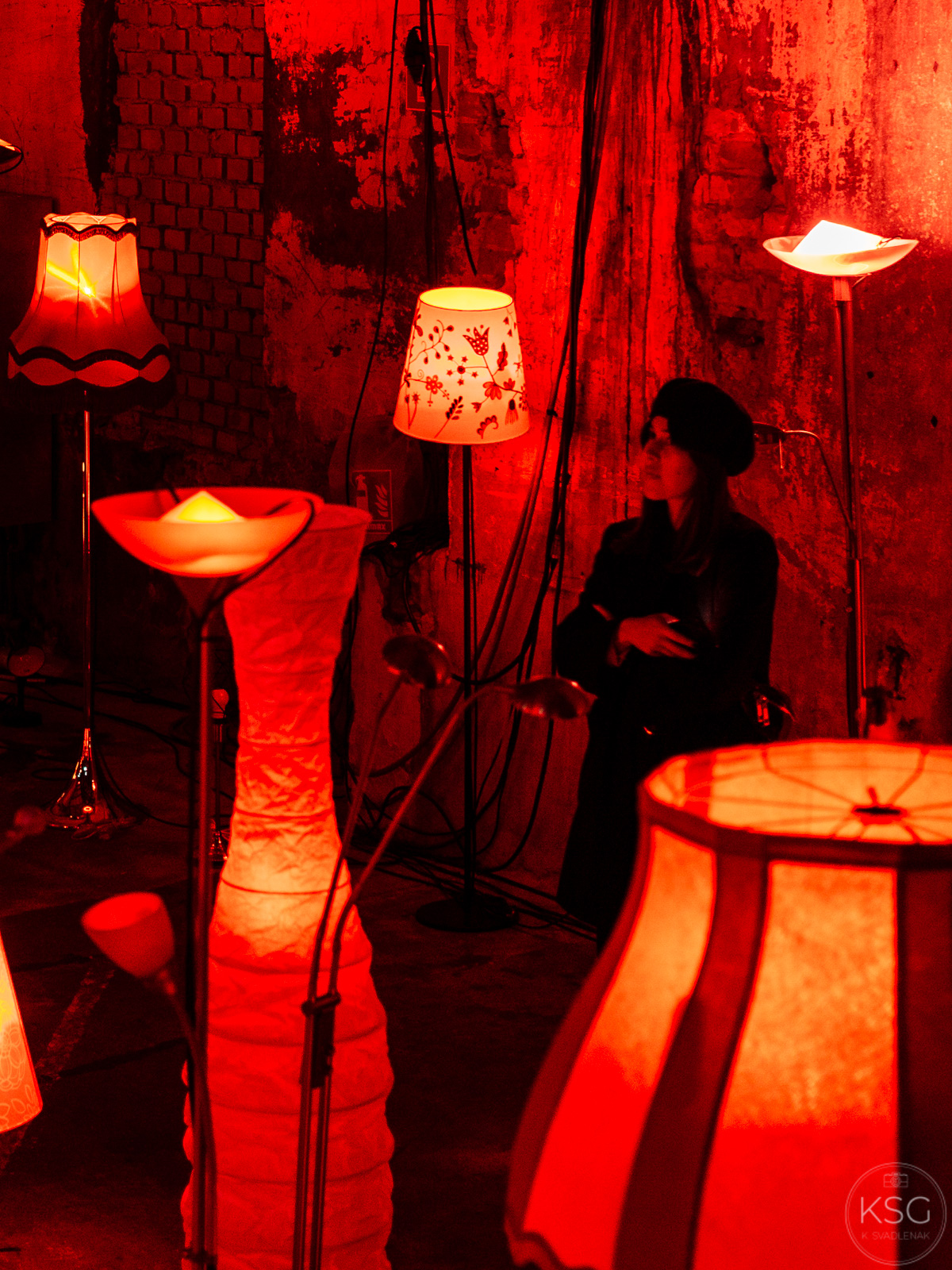 P2102065_K.Svadlenak