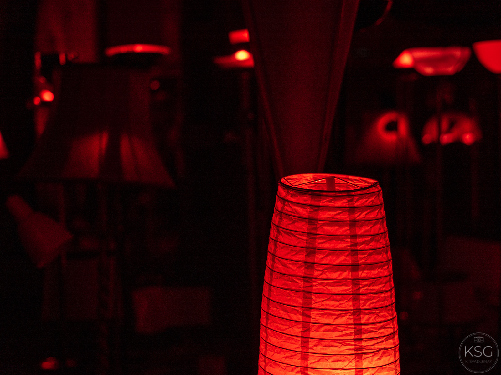 P2102067_K.Svadlenak