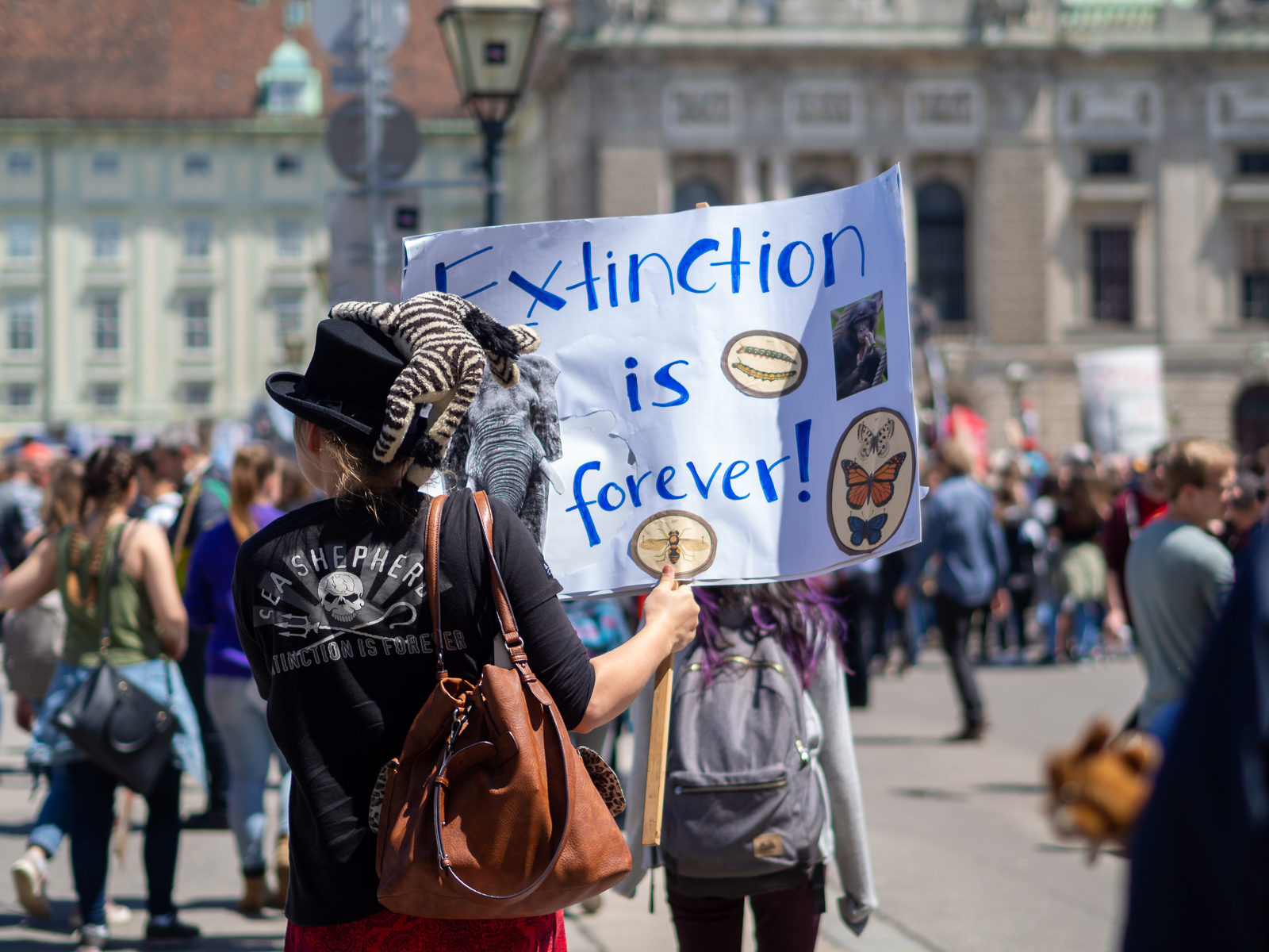 Extinction is forever