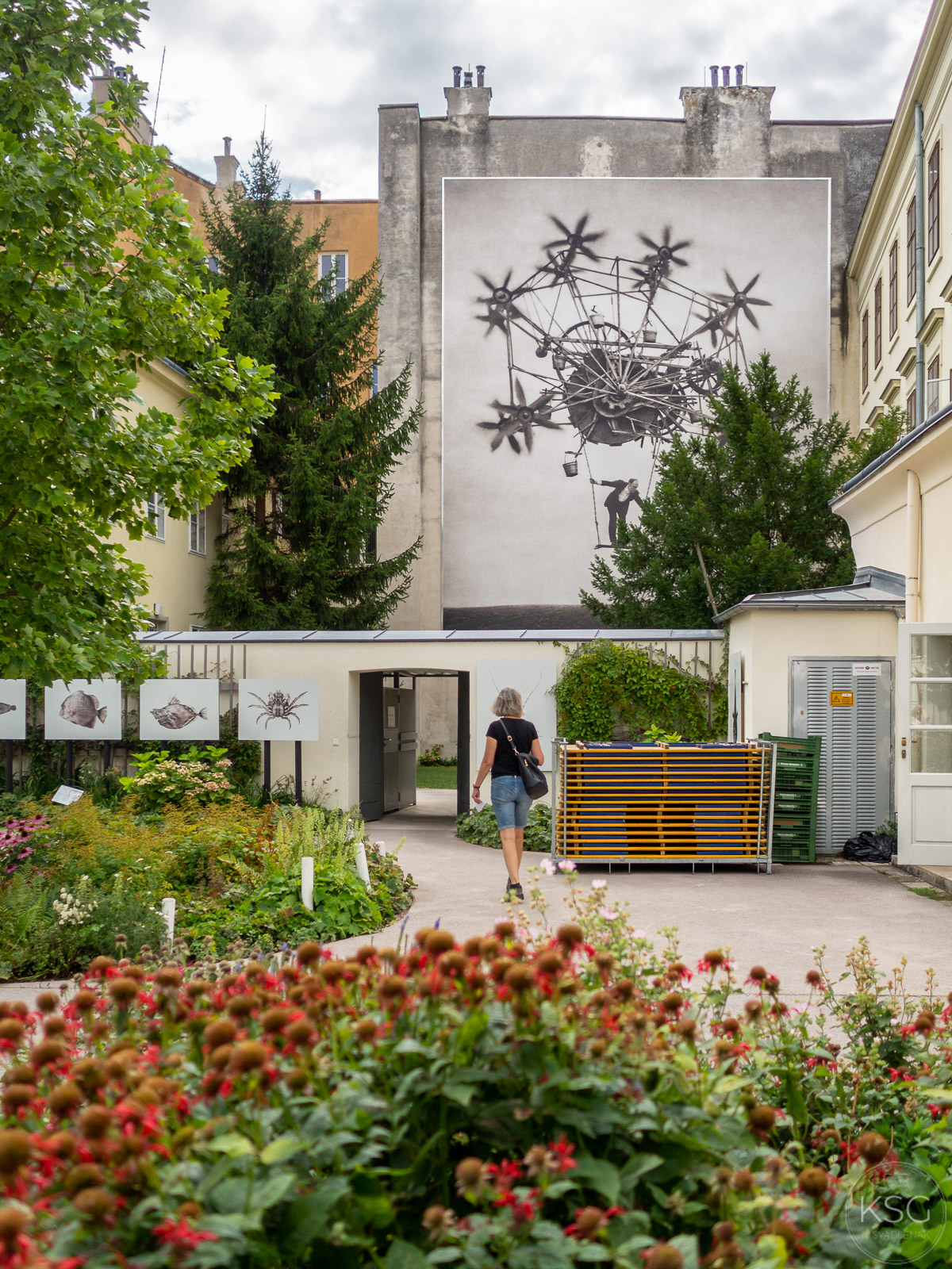 P8110016_K.Svadlenak