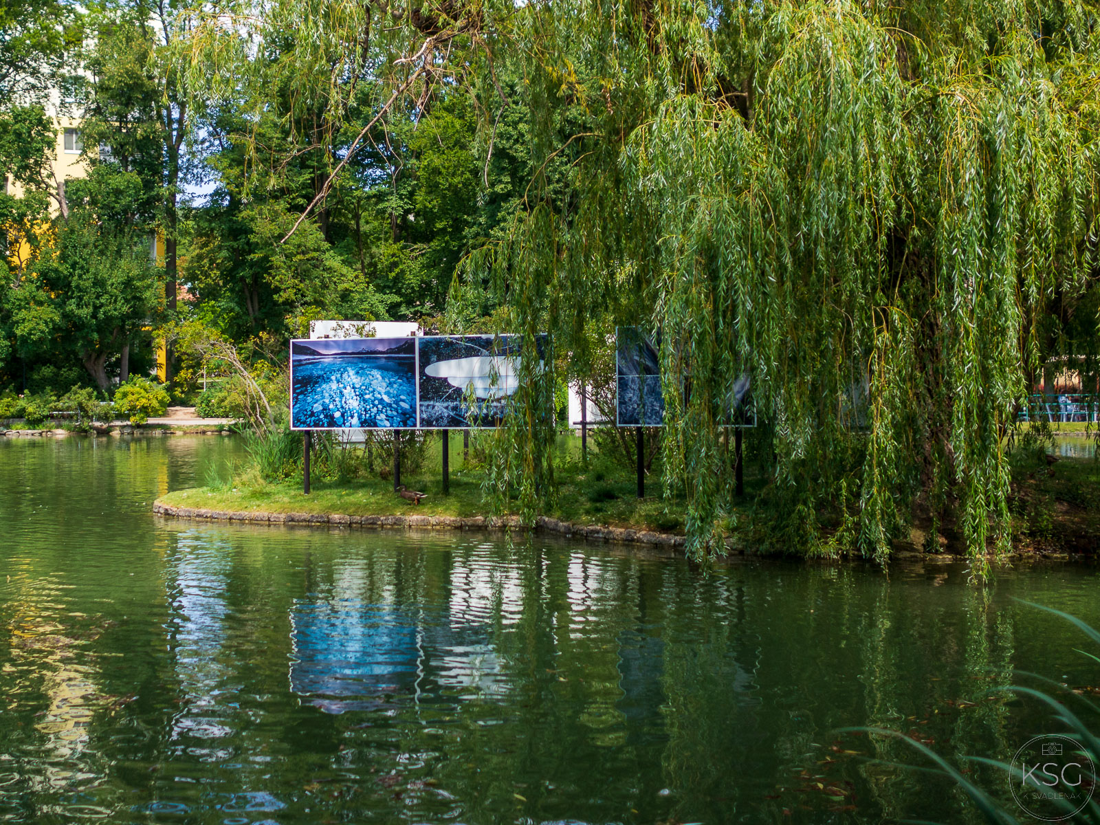 P8110186_K.Svadlenak