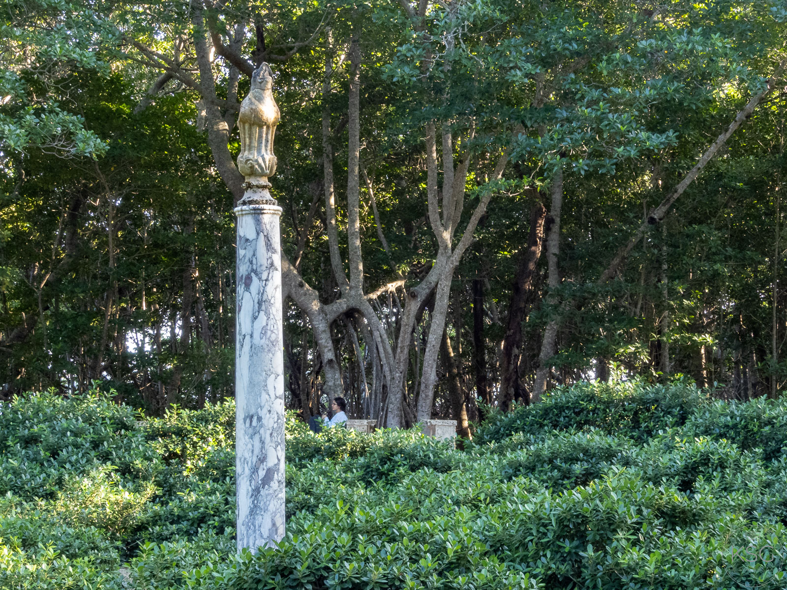 P1020657_K.Svadlenak