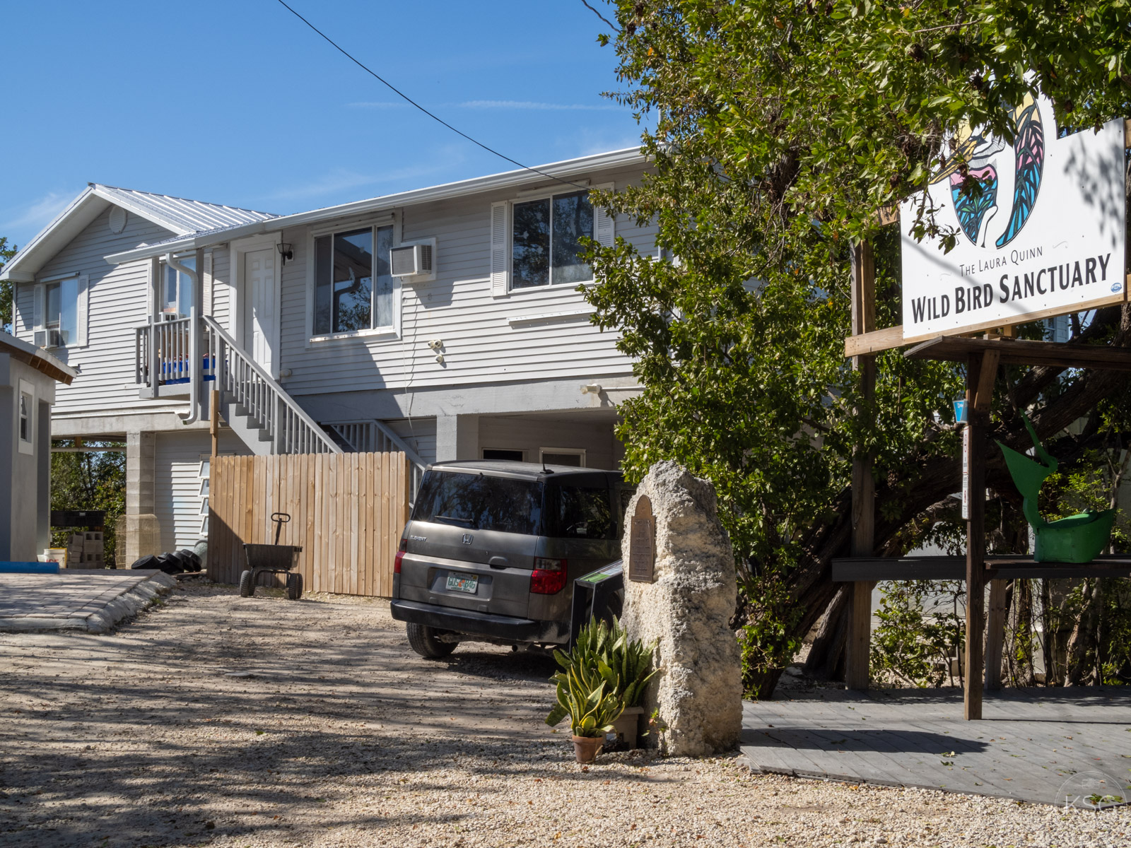 P1082458_K.Svadlenak