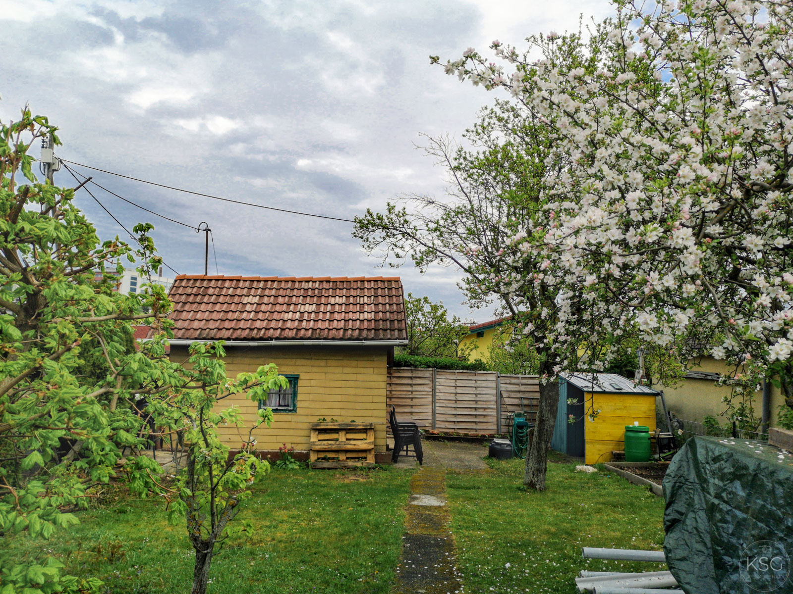 IMG_20200419_135031_@karinsvad