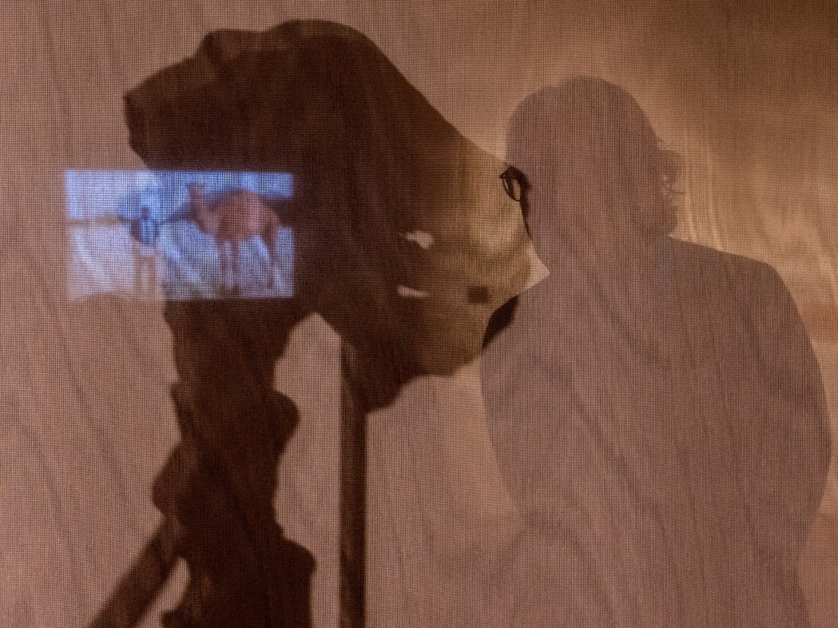 A Camel’s Journey Through&nbsp;Time