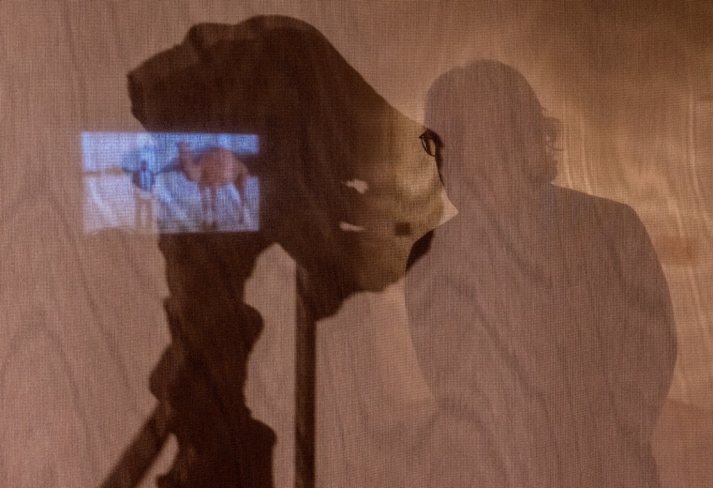 A Camel’s Journey Through&nbsp;Time