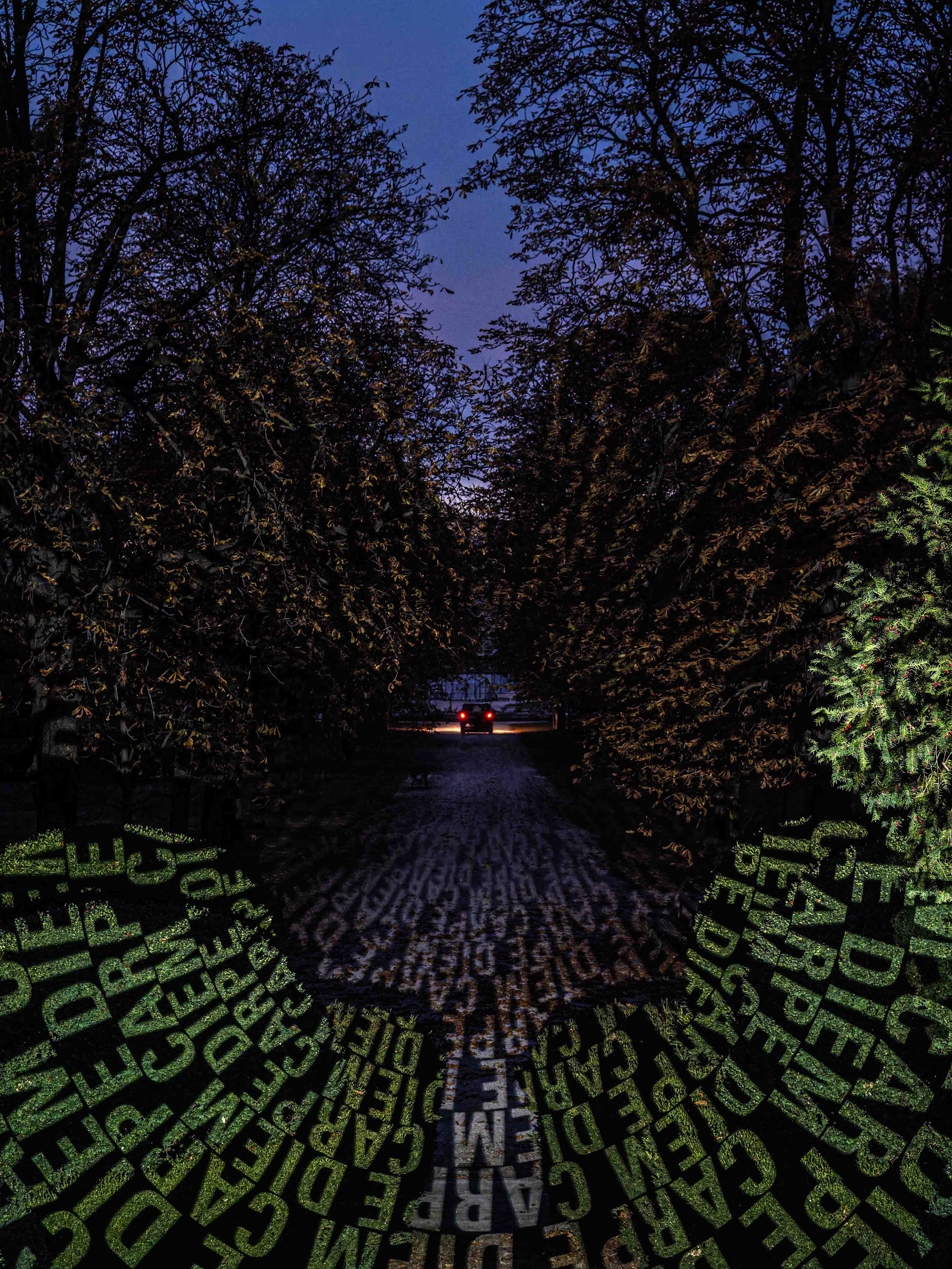 A dark pathway flanked by trees under a twilight sky, with text patterns projected onto the ground, leading towards a distant pair of car headlights.