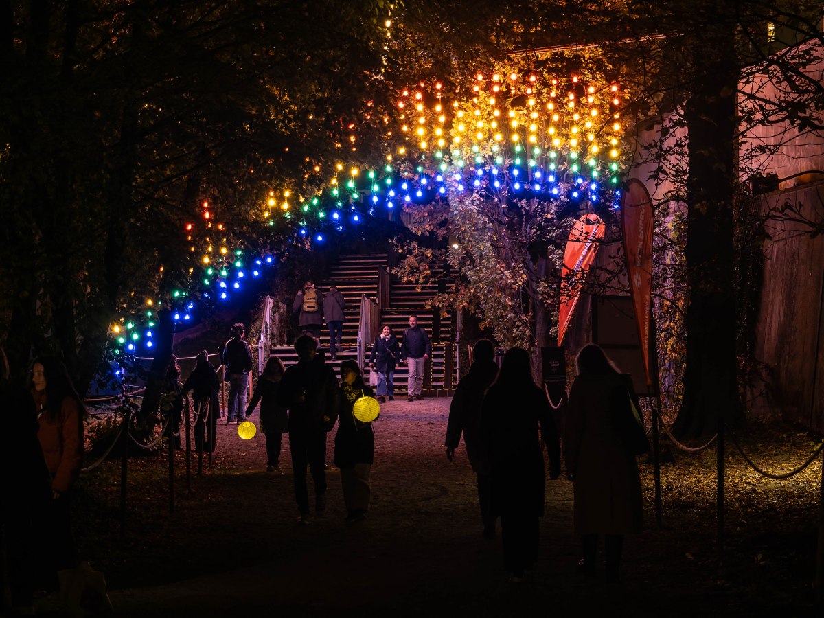 Wo die Nacht&nbsp;leuchtet