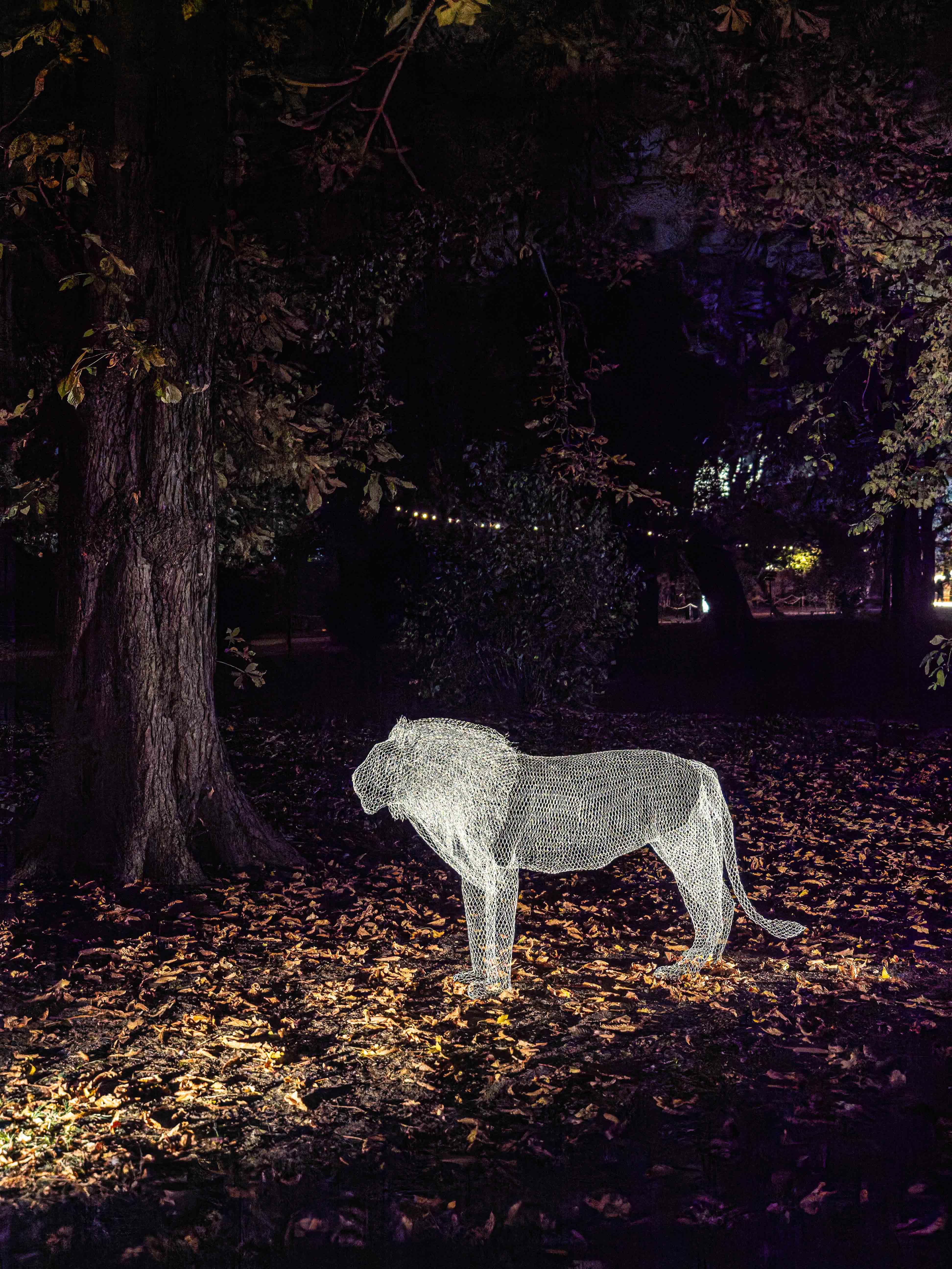 A wireframe sculpture of a lion illuminated at night, surrounded by autumn leaves and trees.